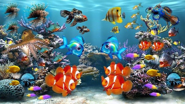 Best 20 Aquariums In The US