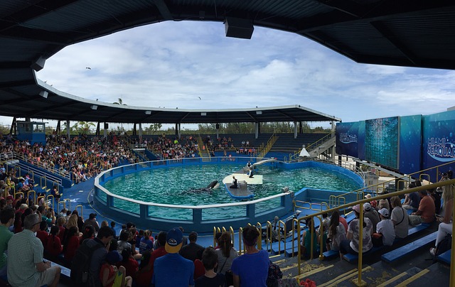 Miami Seaquarium Ticket Price, Hours & Events