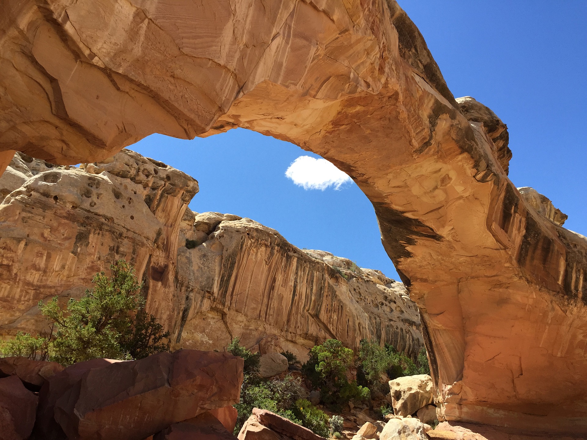 Capitol Reef National Park Tourist Attraction Guide | EireTrip